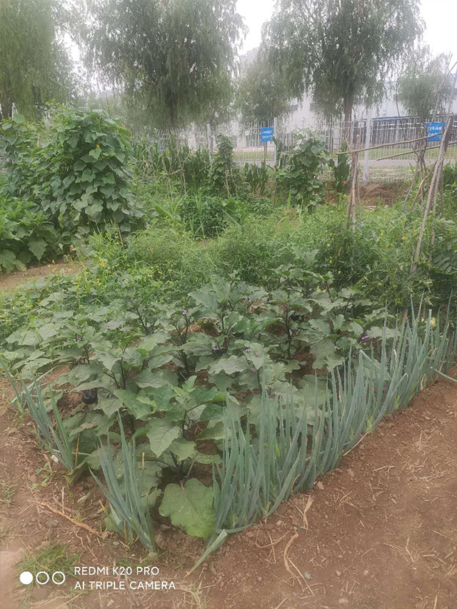 北京邢鋼焊網科技發(fā)展有限責任公司