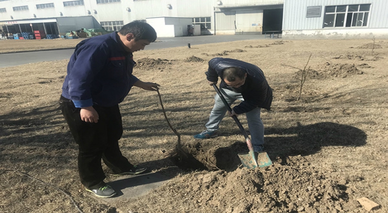 “貢獻(xiàn)力量，奉獻(xiàn)綠色”焊網(wǎng)公司舉辦2019年義務(wù)植樹活動